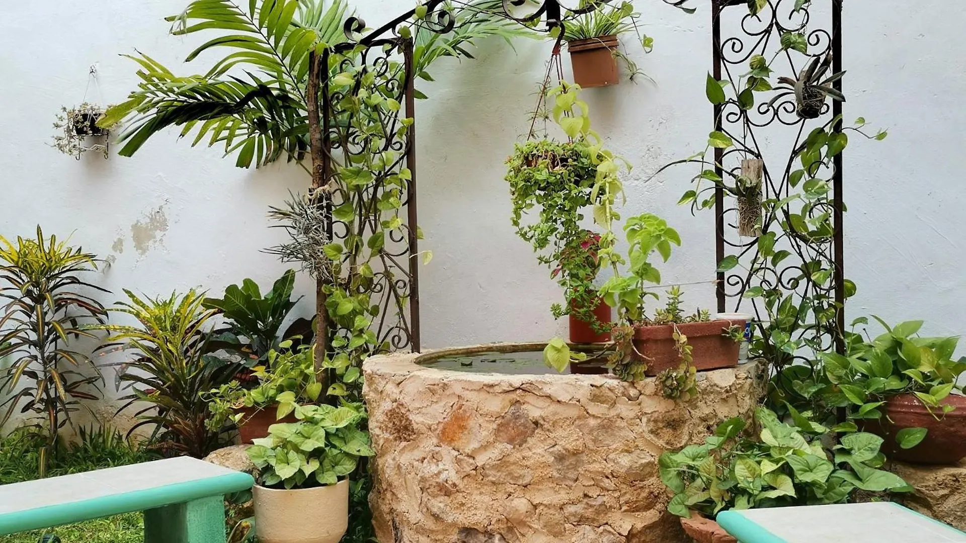 Hotel Casa Pellegrin Mérida